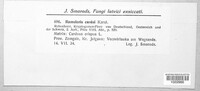 Image Associated With the Occurence